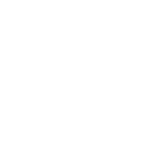 The Brass Rail